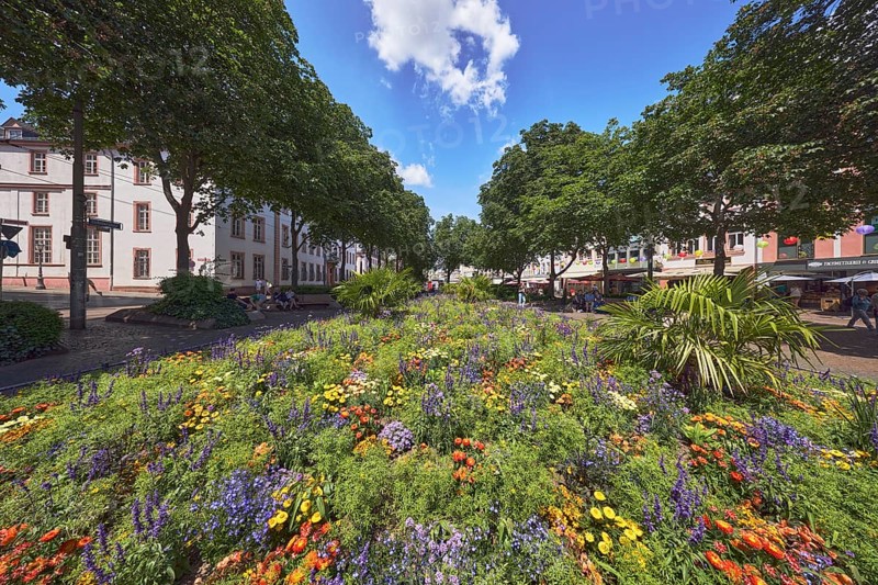 Garden area, flower bed, trees, general architecture, pedestrians as a secondary motif, blue sky, cumulus clouds, Schillerplatz, Mainz, state capital, district-free city, Rhineland-Palatinate, Germany