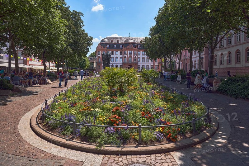 Gardens, flower beds, trees, general architecture, historic buildings, houses, paving stone square, pedestrians as a secondary motif, back light, blue sky, cumulus clouds, Schillerplatz, Mainz, state capital, district-free city, Rhineland-Palatinate, Germany