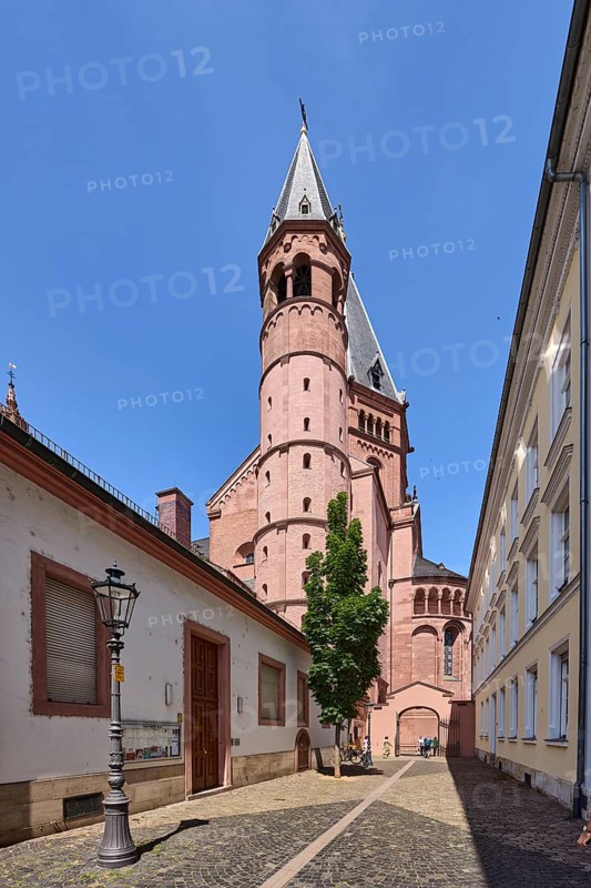 Mainzer Cathedral, St. Martin Cathedral, general architecture, houses, lantern, street made of paving stones, tree, blue sky, cloudless, Domstraße, Mainz, state capital, independent city, Rhineland-Palatinate, Germany