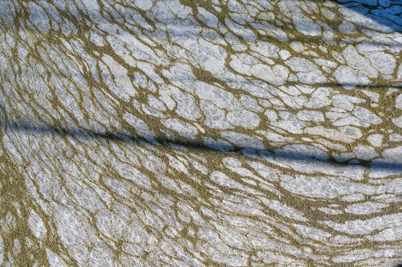 Structure of pollution in the port of Ahrenshoop, Darß, Baltic Sea, Mecklenburg-Western Pomerania, Germany