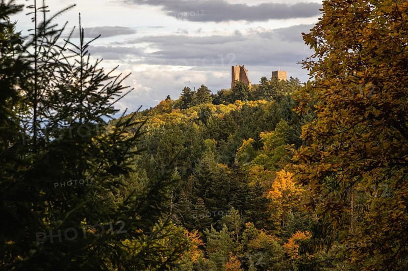 Forests during autumn with ruines of Les Trois Chateaux in Eguisheim, Alsace, France