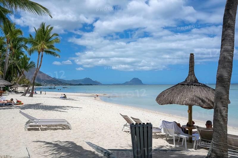 Beach, umbrellas, deckchairs, palm trees, sea, sky, clouds, Flic-en-Flac, Mauritius