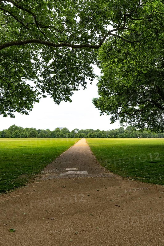 Long gravel path leading through the vast green fields of Hyde Park, London