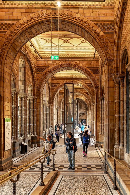 London, United Kingdom - 15 May 2025: The historic and beautiful arched gallery inside the renowned Natural History Museum in London