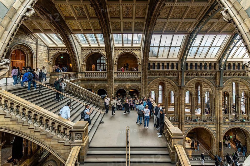 London, United Kingdom - 15 May 2025: People exploring the immense Natural History Museum