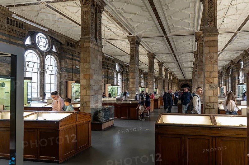 London, United Kingdom - 15 May 2025: Visitors exploring the long, ornate galleries and exhibits inside the Natural History Museum