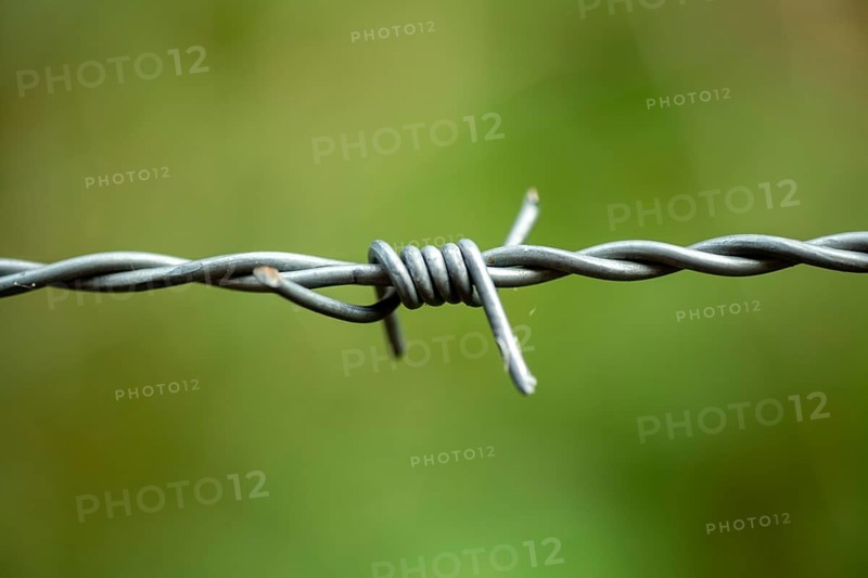 Borken, NRW, Germany, Barbed wire close up with sharp points creating a boundary on a blurred green background