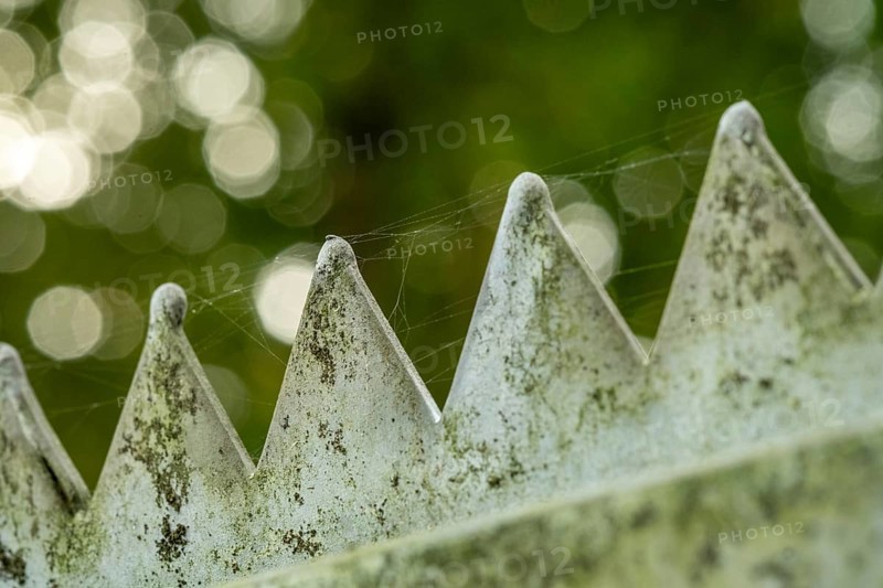 Borken, NRW, Germany, Weathered sharp metal fence spikes with delicate spiderweb and a soft bokeh background