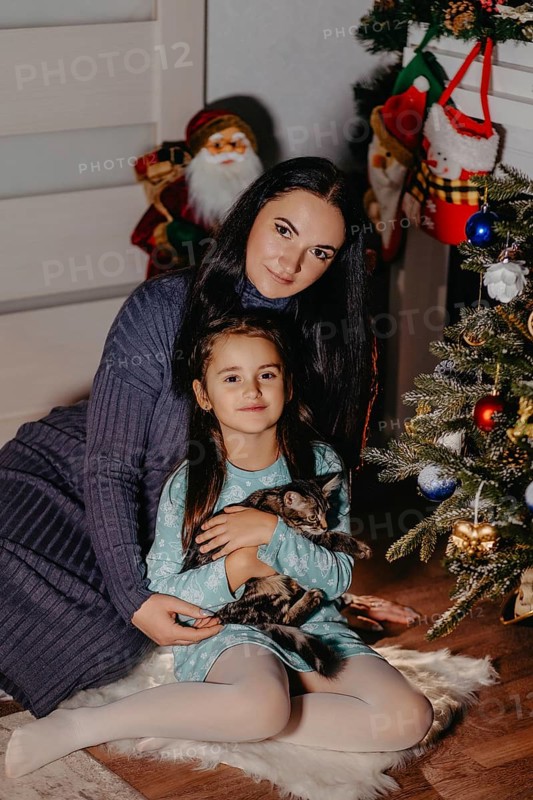 Mother and daughter happily posing with a tabby kitten during christmas holidays.Belarus