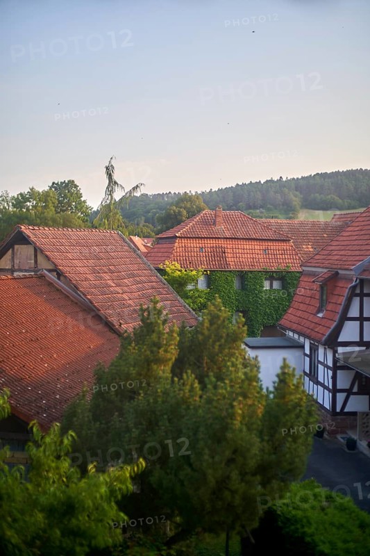 Rural countryside houses mingling with nature, ivy growing on walls, view of traditional Fachwerk house (timbered houses, half-timbered house, timber-franed house, studwork house, frame house) village Ershausen, Schimberg, Eichsfeld, Thuringia, Germany