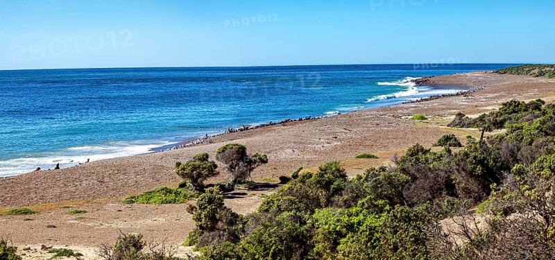 Wide stretch of beach with coastal vegetation on a quiet day by the sea, The countryside of Peninsula Valdes in Argentina