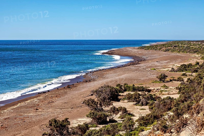 View of a wide coastline with sandy beach and clear lake, The countryside of Peninsula Valdes in Argentina