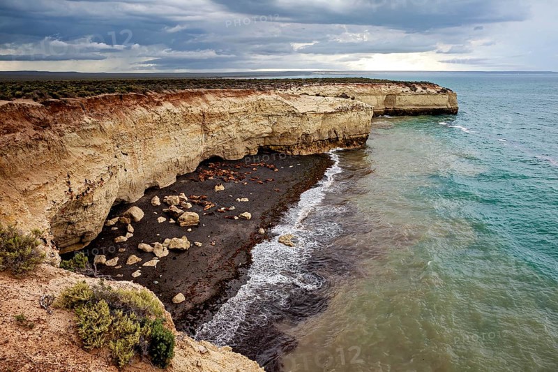 View of the rocky coast with high cliffs and picturesque waves under a cloudy sky, The maned seals (Otaria flavescens) on the beach of Peninsula Valdes in Argentina