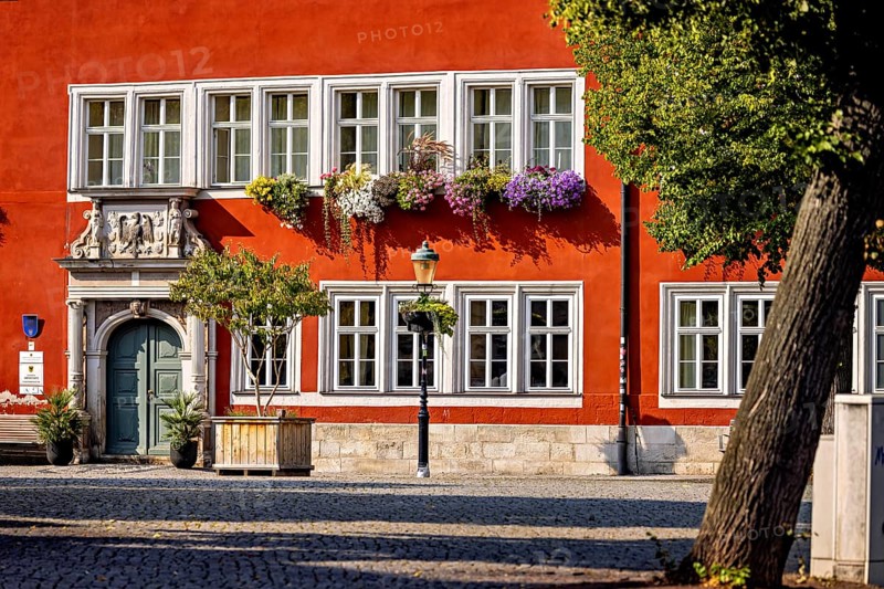 Historic red building with flowers under windows, surrounded by trees, in clear skies, The old town of Arnstadt in Thuringia