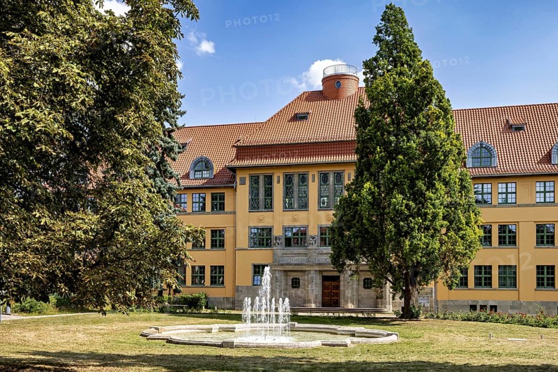 Yellow historic building with fountain and trees in the foreground, The old town of Arnstadt in Thuringia