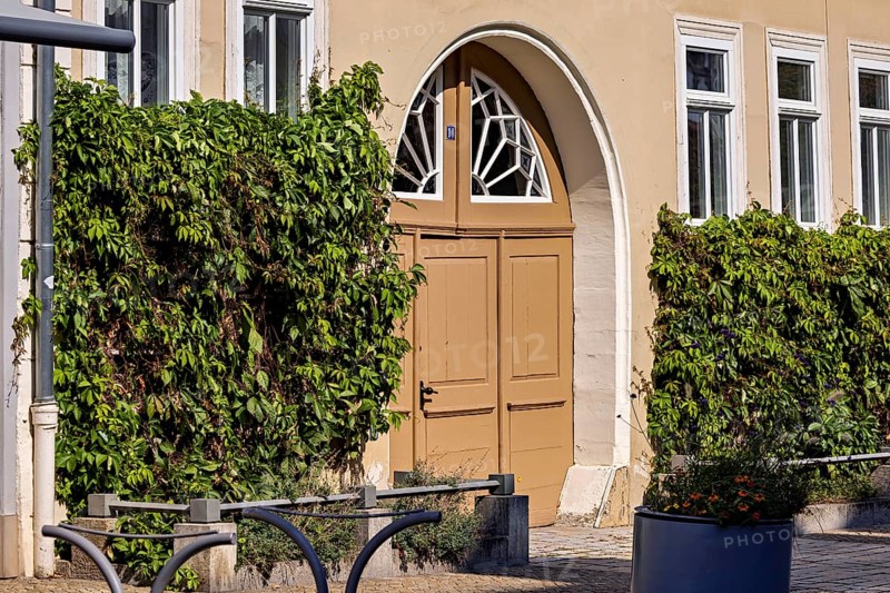 House entrance with classic wooden door and ivy-covered walls in an urban environment, historic door in the old town of Arnstadt in Thuringia