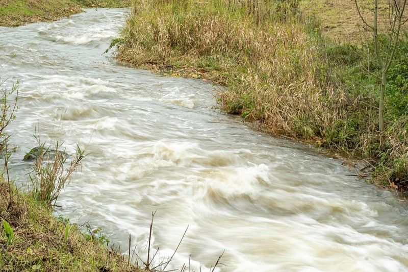 Borken-Hoxfeld, NRW, Germany, A river rushes through a landscape filled with tall grasses and sparse trees under an overcast sky. The water flows rapidly, creating ripples and a dynamic scene in nature