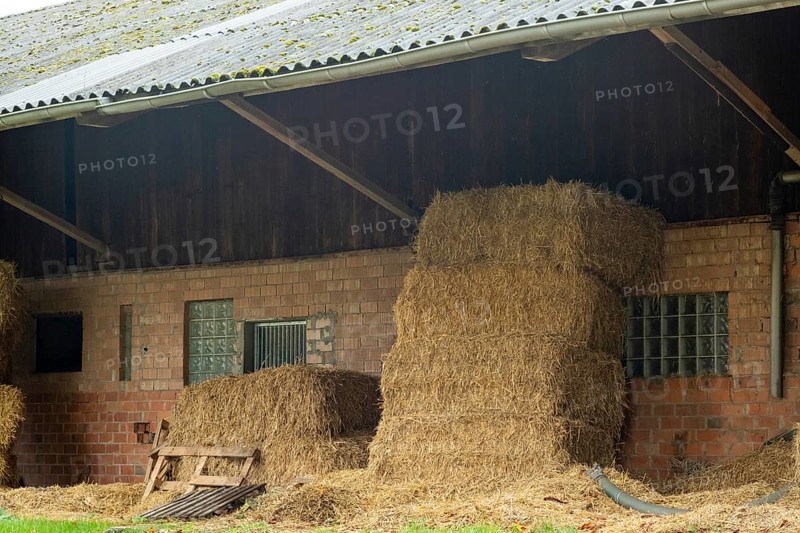 Borken-Hoxfeld, NRW, Germany, Stacks of hay bales are neatly arranged next to a barn. The scene captures a rural setting with a cloudy sky, highlighting farming life in the countryside