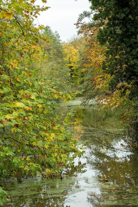 Borken-Hoxfeld, NRW, Germany, Vibrant leaves in shades of yellow and green surround a calm waterway, creating a serene atmosphere in a natural park during autumn. The trees reflect on the still surface