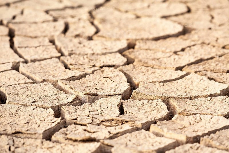 Close-up view of cracked dry soil showing texture and signs of drought, Djoudj, Senegal