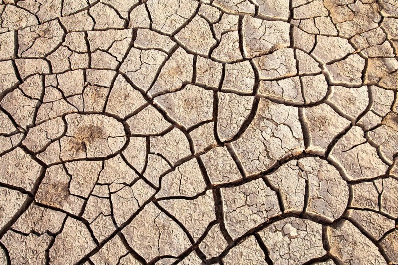 Wide view of arid soil with prominent cracks indicating a lack of moisture, Djoudj, Senegal