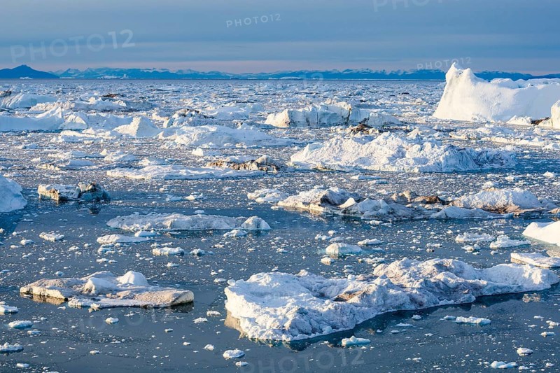 Iceberg fragments floating in calm icy waters against a backdrop of distant mountains in a cold, expansive setting, Ilulissat Icefjord, Greenland