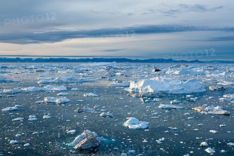 Iceberg fragments scattered across a vast, cold sea under an overcast sky, Ilulissat Icefjord, Greenland
