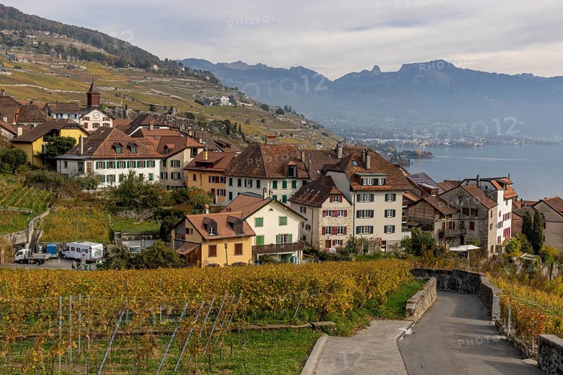 Colourful autumn vines in the UNESCO World Heritage Lavaux wine region, view of Rivaz, Vaud, Switzerland