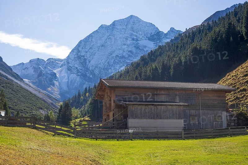 Snowy mountain hawk with cattle shed on the Pinnisalm in autumn, Pinnistal, Neustift im Stubai Valley, Stubai Valley, Tyrol, Austria