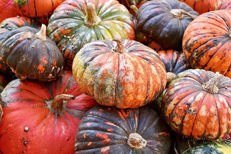 Pile of Zucca Lakota pumpkins at autumn farmers market for seasonal harvest