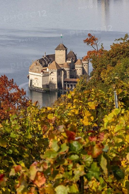 Château de Chillon, Chillon Castle, from autumnal colorful vineyard terraces, Les Terraux, Villeneuve, Vaud, Switzerland