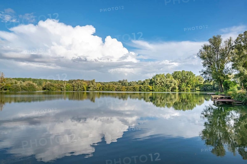 Natural landscape at Etang de Fouquenies (Fouquenies pond), a fishing lake near Beauvais. The motif shows mirror-like water reflecting the dense trees and green areas of the shore as well as several wooden fishing platforms, in Fouquenies, Oise department (60), Hauts-de-France region, France