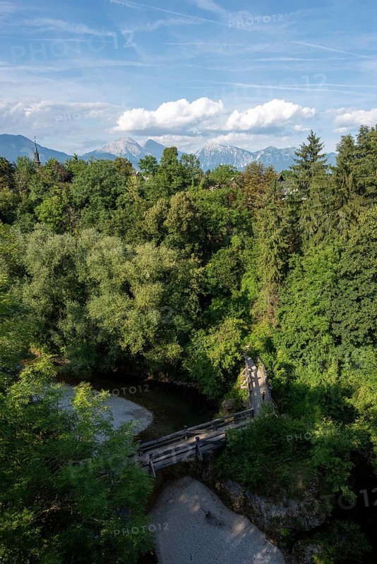 View over the thick treetops and the Kokra River with the Alps in the background, Kranj, Slovenia