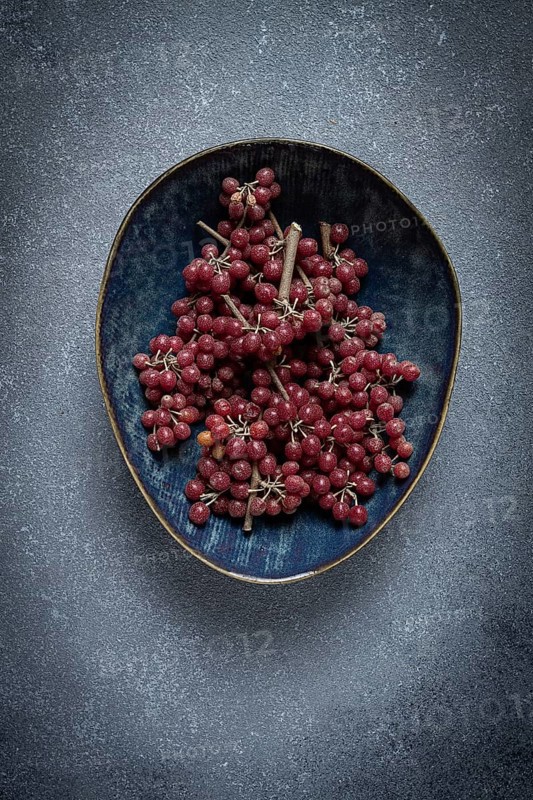 Shtoshi berry, Shepherd's pie, a hybrid of sea buckthorn and barberry, top view, no people