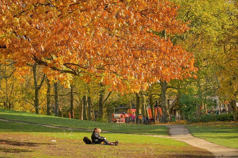 Autumn in Volkspark Wilmersdorf, Berlin, Germany