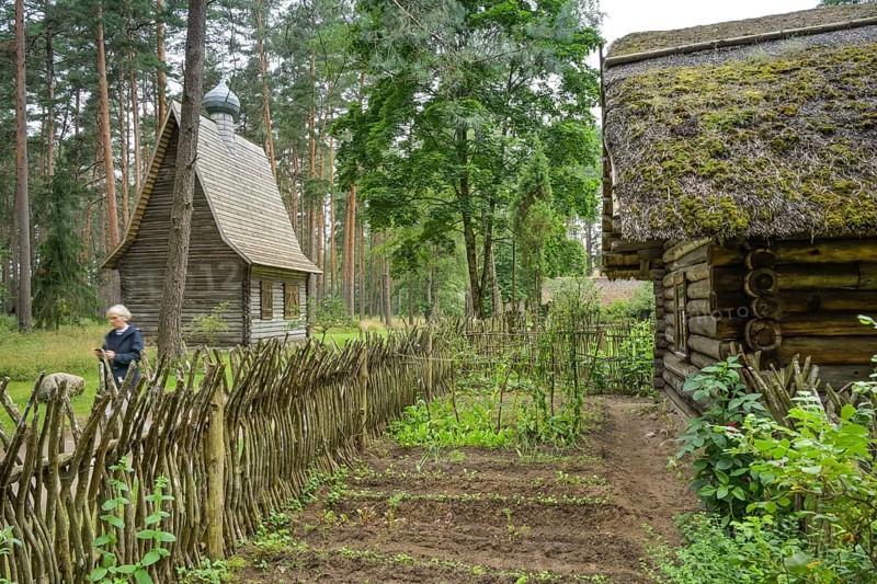 Garden, wooden house, farmhouse, Latvian Ethnographic Open-air Museum, Brivdabas iela, Riga, Latvia