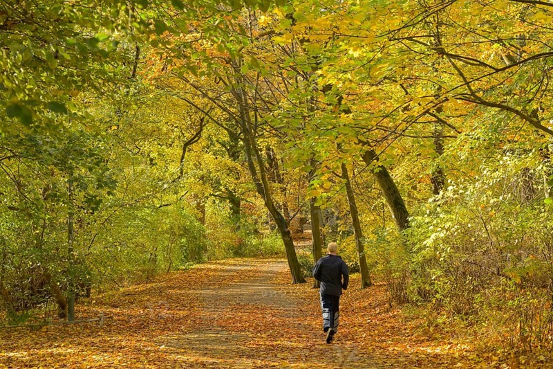Autumn in Rudolph Wilde Park, Volkspark Schöneberg, Berlin, Germany