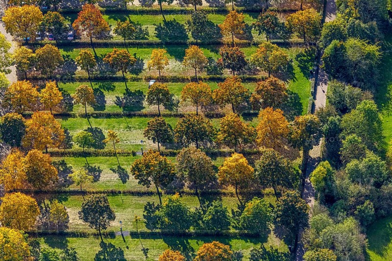 Aerial view, parking lot with autumn trees at the lido, shapes and colors, Wesel, Lower Rhine, North Rhine-Westphalia, Germany, DE, Europe, aerial photography, aerial photography, overview, bird's eye view, birds-eyes view, overview