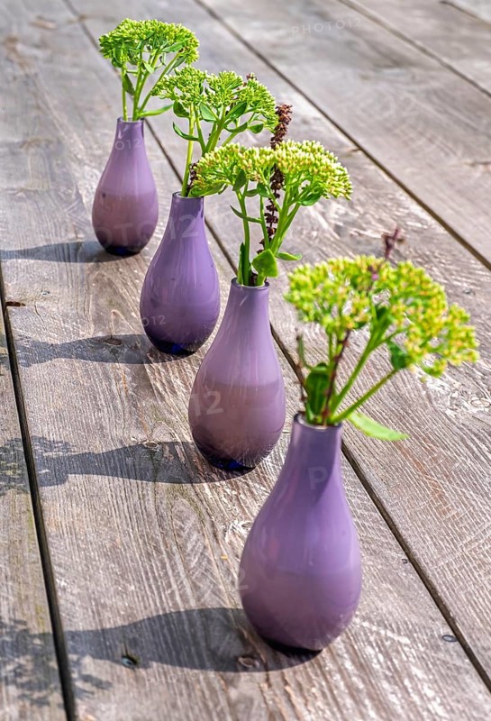 Purple vases with green flowers on a wooden table in minimalistic arrangement, North Rhine-Westphalia, Germany