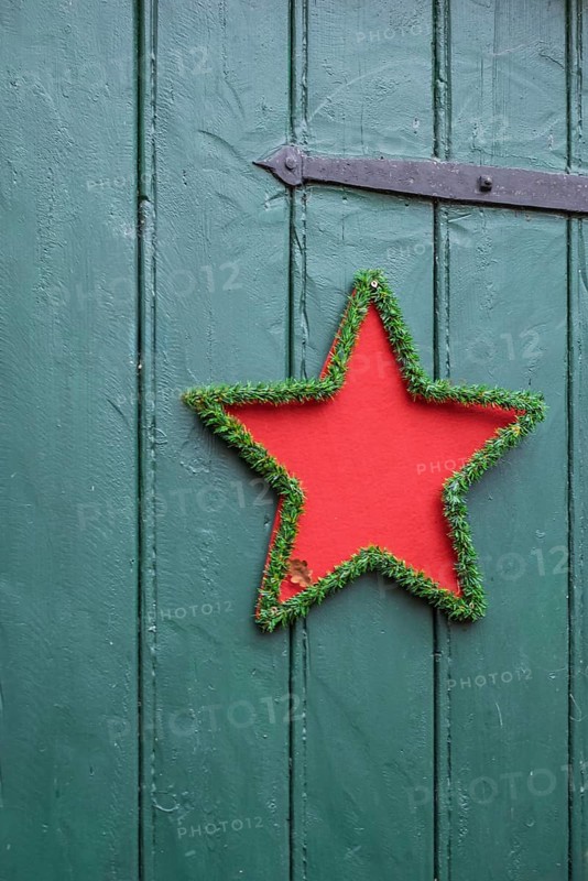 Red star with green border on green wooden door, festive decoration, North Rhine-Westphalia, Germany