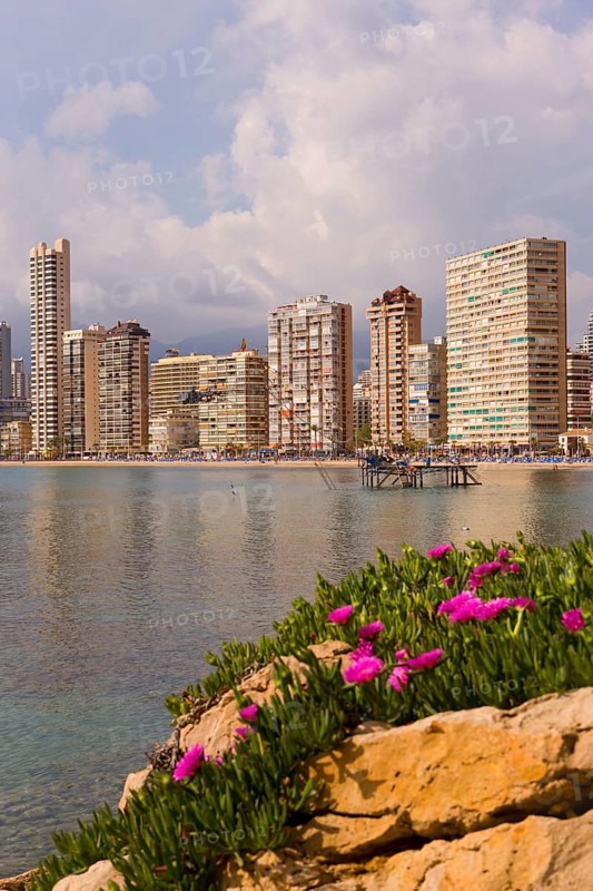 View of high-rise skyline, Little Manhattan, skyscrapers, Benidorm, Valencia region), Costa Blanca, Spain