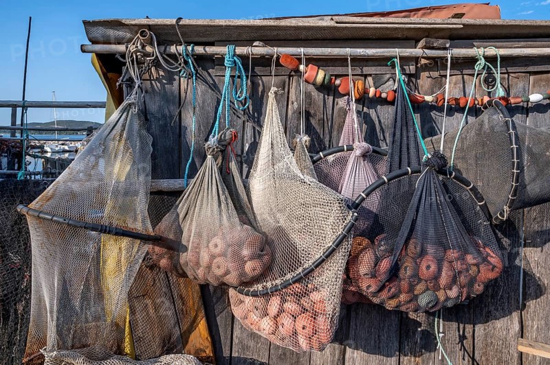 Close-up of various fishing nets and fish traps with red floats and shackles suspended for drying on a rough wooden wall of a fisherman's house in the port of La Pointe Courte in Sete, Herault department, Occitanie region, France