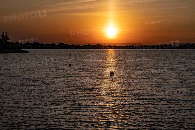 A golden sunset over the Etang de Thau with strong light reflection on the water surface, the skyline of the distant coast as a silhouette and piles of oyster farming in the water, taken from the shore in Le Barrou in Sete, Herault department, Occitanie region, France