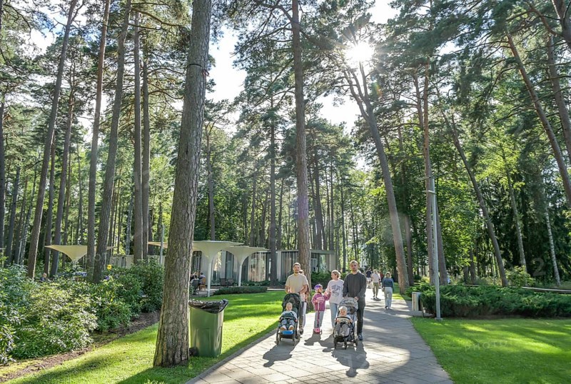 Dzintaru Forest Park, Jurmala, Latvia