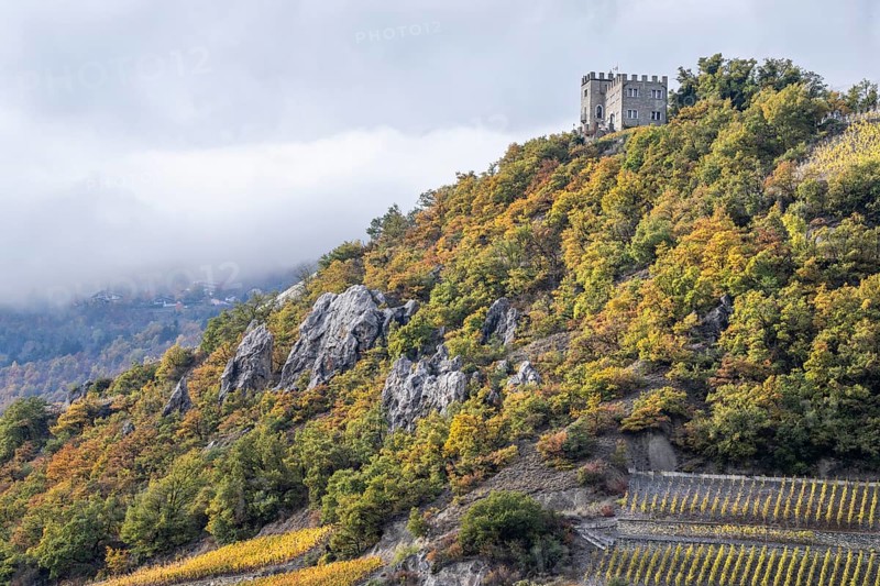 Castle stands on top of a mountain. Below are tressed vineyards as well forest glowing in autumn colors, yellow, green and orange. Rhone Valley, Alps, Switzerland