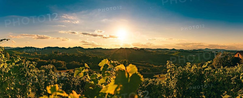 Sunset over vineyards, casting warm light on the landscape, Gamlitz, Austria