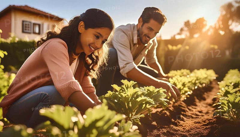 A man and a woman are working in a garden. They are both smiling and seem to be enjoying their time together. The garden is filled with various plants, including some green vegetables, AI generated