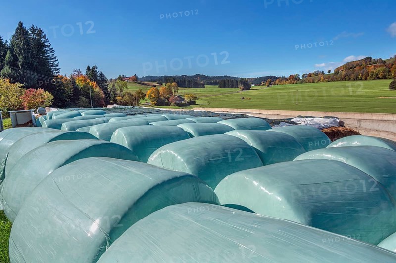 Blue sky, silage bales near the village of Masers near Kempten, Swabia, Bavaria, Germany