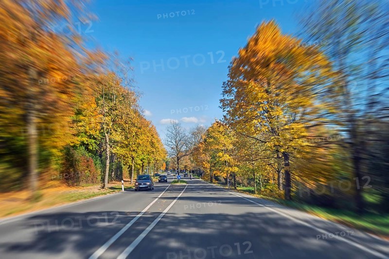 Zoom effect, country road and autumn-colored deciduous trees, Kempten, Swabia, Bavaria, Germany