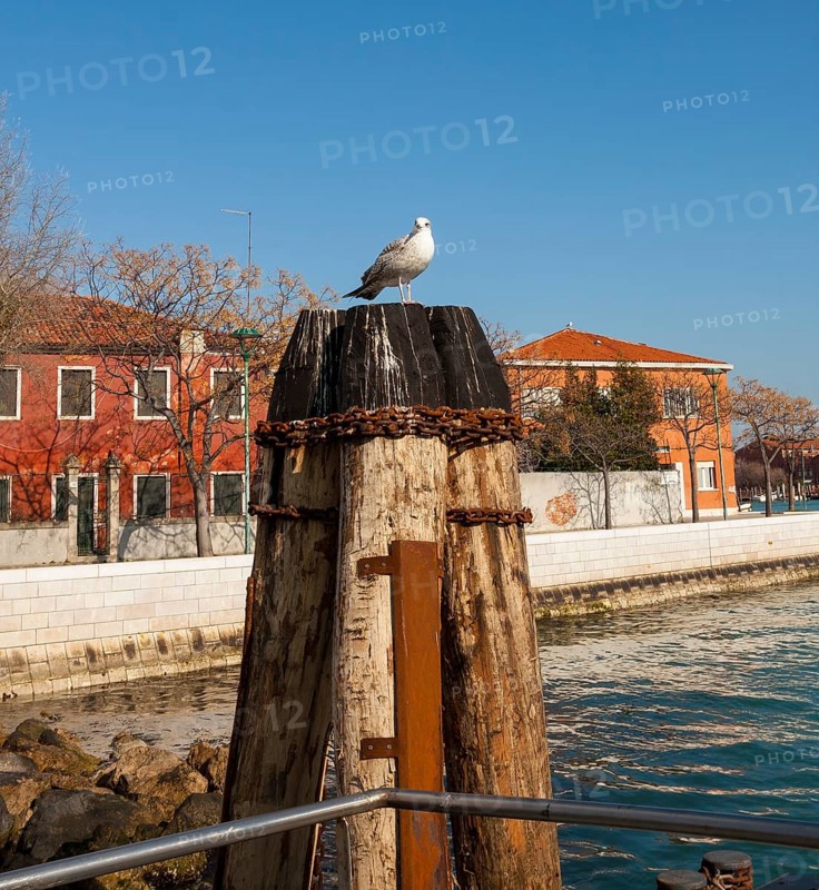 Island Murano, Venice, Italy